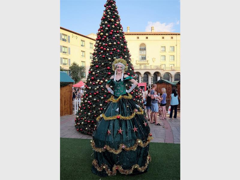 By 1900, one in five American families had a Christmas tree, and 20 years later, the custom was nearly universal.