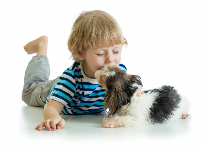 Does your three- to five-year-old know their ABC’s?