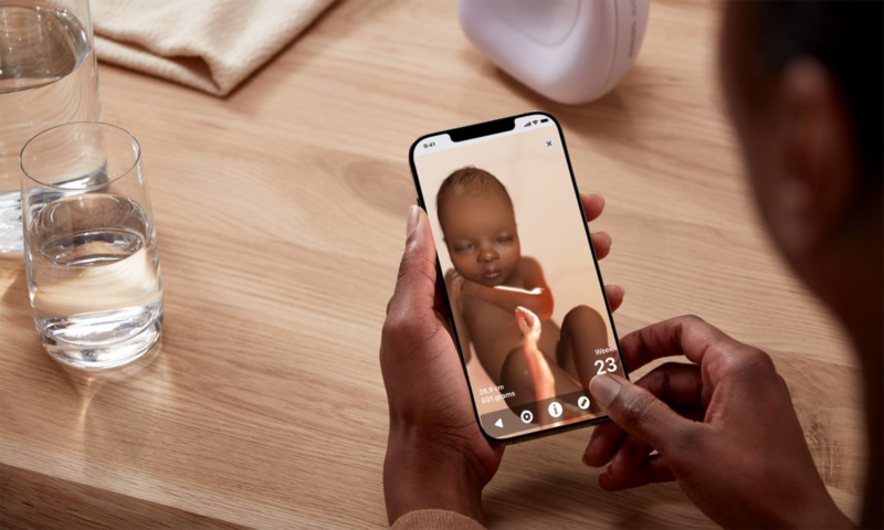 You’re Pregnant! Now what?