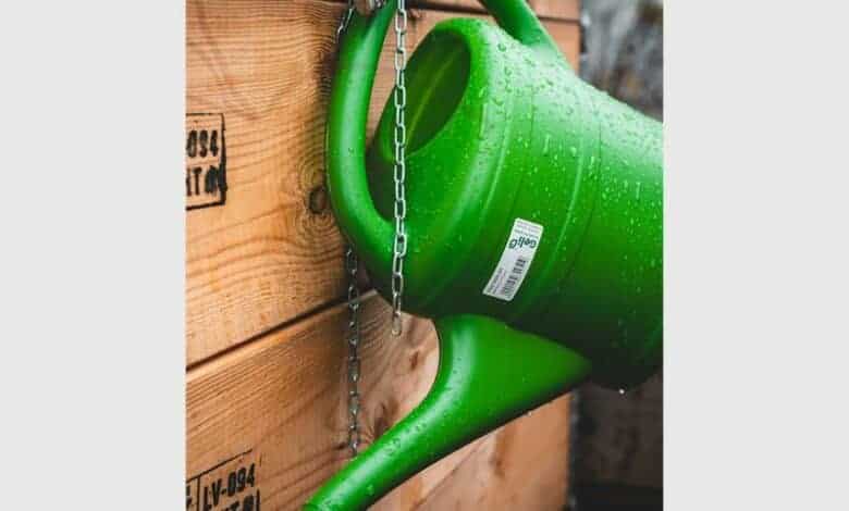 Collecting and saving rainwater has many benefits.