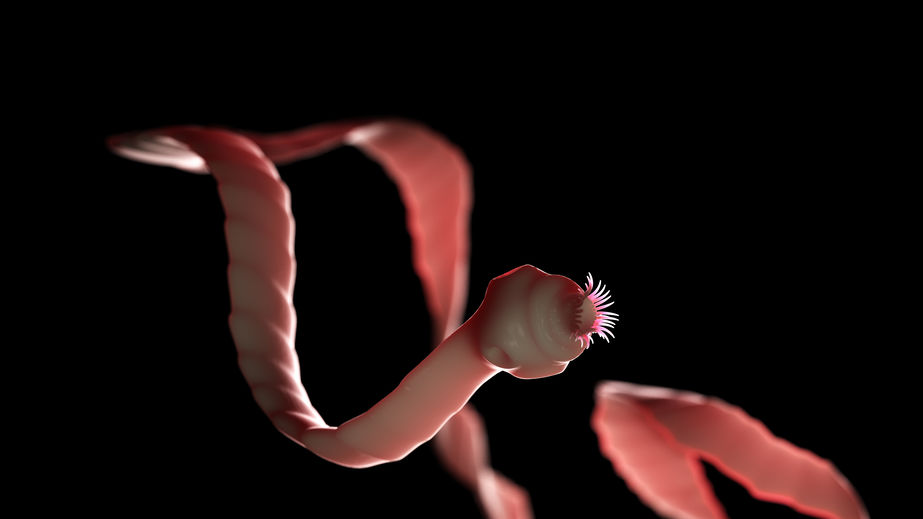 All about deworming your child | Die Pos