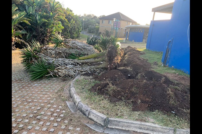 Cable thieves target La Mercy Lagoon in northern KZN | The Witness