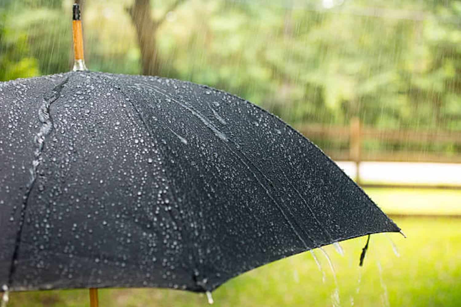 Scattered showers and thundershowers expected in KZN on Thursday ...