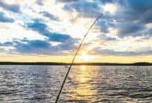 Analysis | Winter conditions bring opportunities for Midlands’ anglers