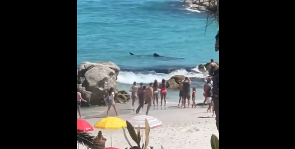 Screenshot 2024-01-05 105445