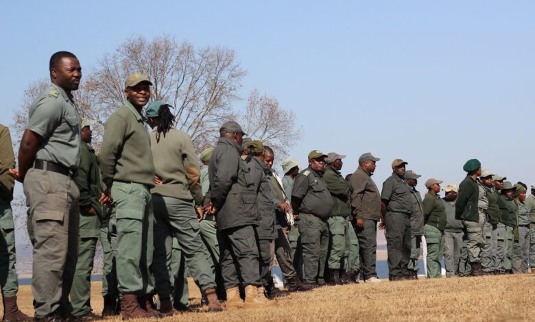 Rangers are prepared to take risks | The Witness