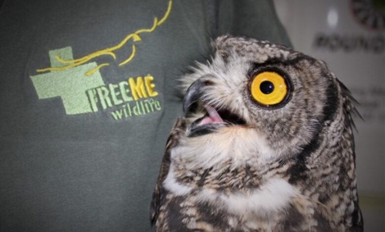 FreeMe Wildlife to hold a fun-filled fundraiser | The Witness