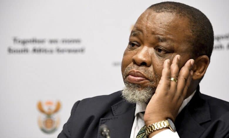 Ramaphosa appoints Mantashe as acting police minister amid inquiry | The Witness