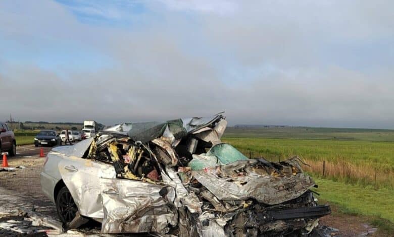 Seven killed in horrific head-on crash on N12 | The Witness