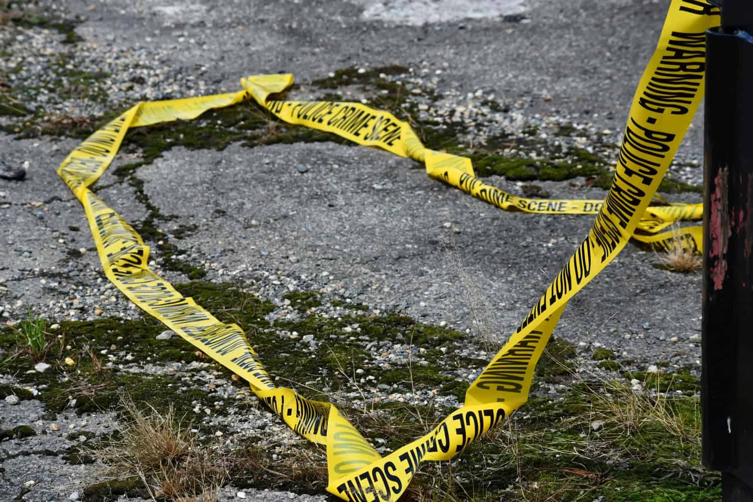 Two shot dead in Hilton’s Knoll area as detectives, forensics comb scene