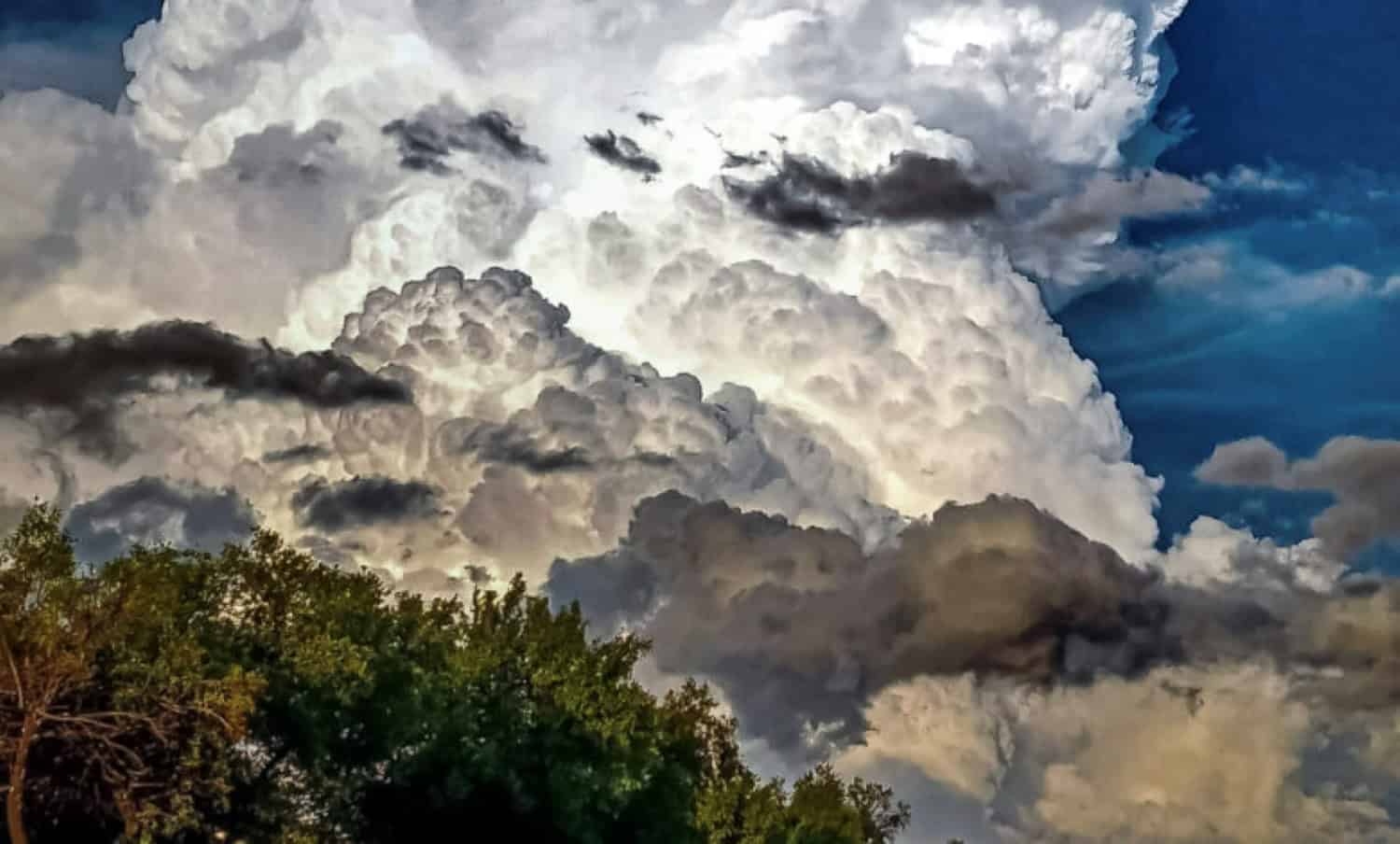 PICS | Suspected tornado tears through farm near Middelburg