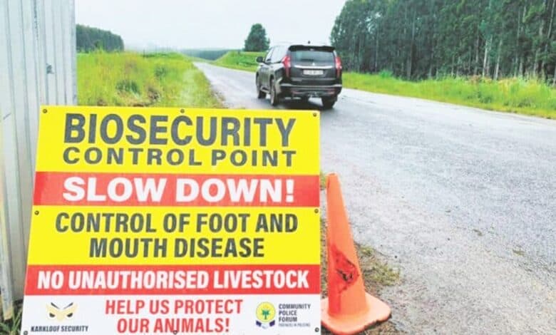 Controversial levy to help fund fight against FMD in uMngeni | The Witness