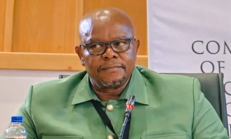 WATCH LIVE | Senona back before Madlanga Commission | The Witness