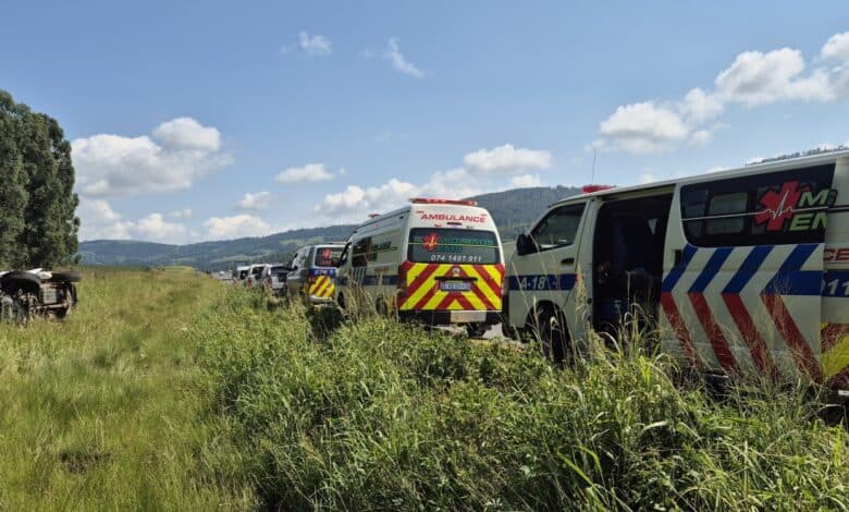 One dead, dog critical after N3 crash | The Witness