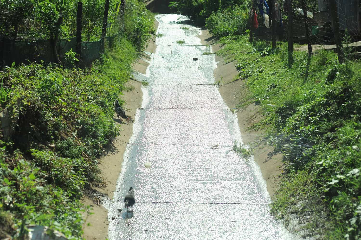 Crime and neglect deepen KZN’s water, sanitation crisis