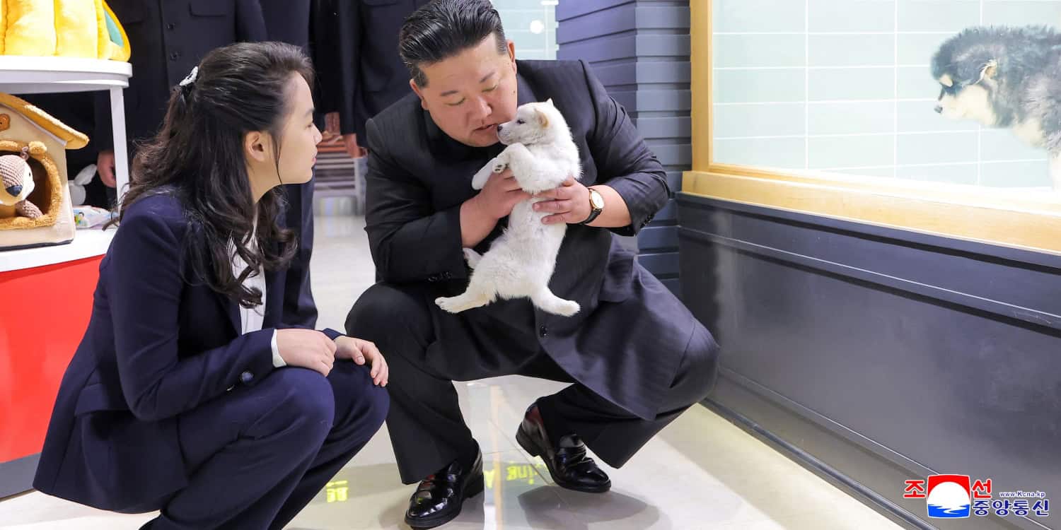 North Korea’s Kim pets puppies, kittens at Pyongyang pet shop