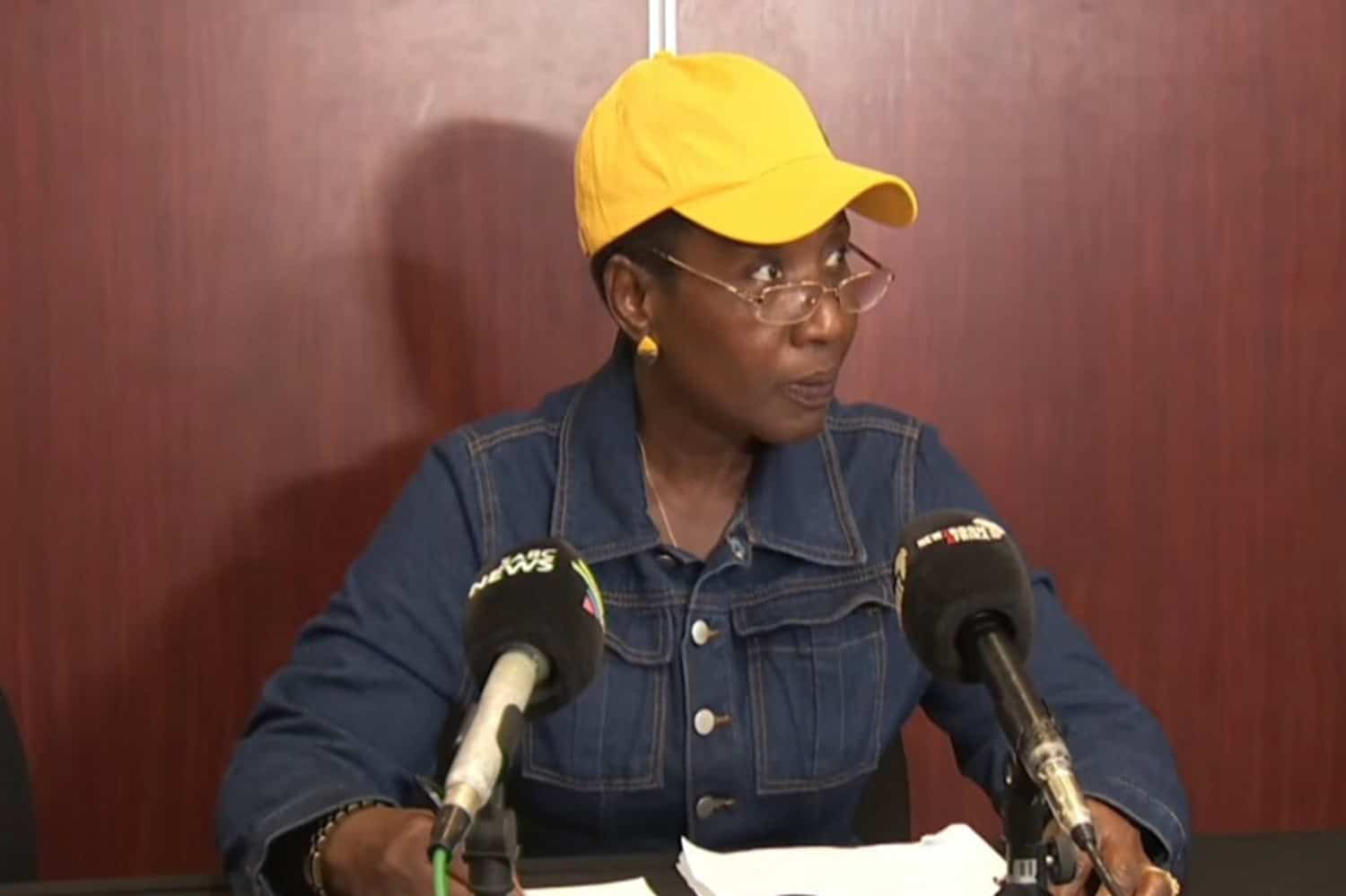 Madlanga Commission urged to probe Mpumalanga top cop’s corruption claims