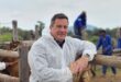 Minister of Agriculture, John Steenhuisen at Swartfontien, North West, during an FMD vaccination drive. Photo National Department of Agriculture