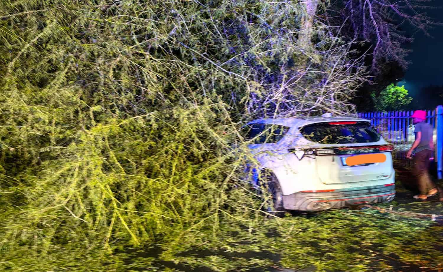 WATCH | Mop-up operations begin after violent storm