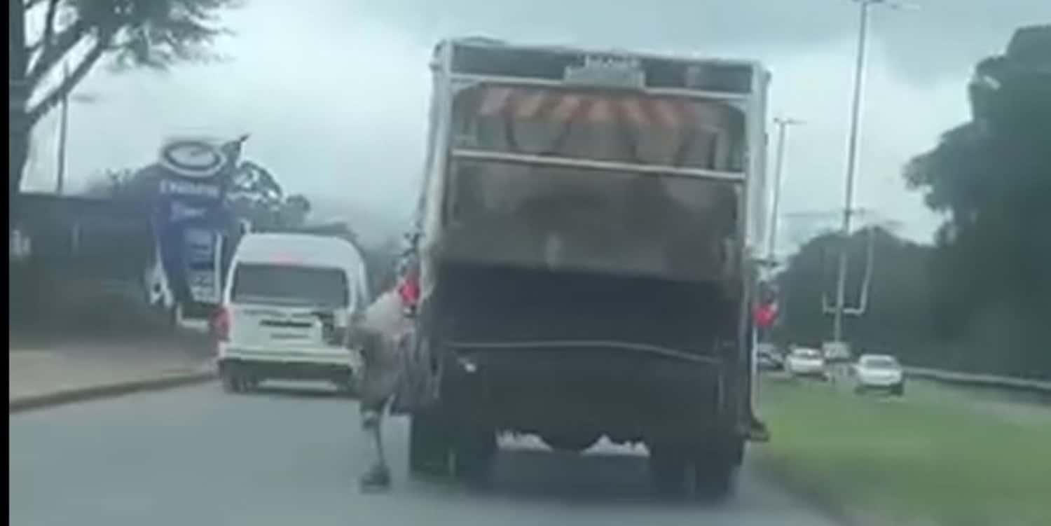 WATCH | DoT in search of Pietermaritzburg ‘Spiderman’