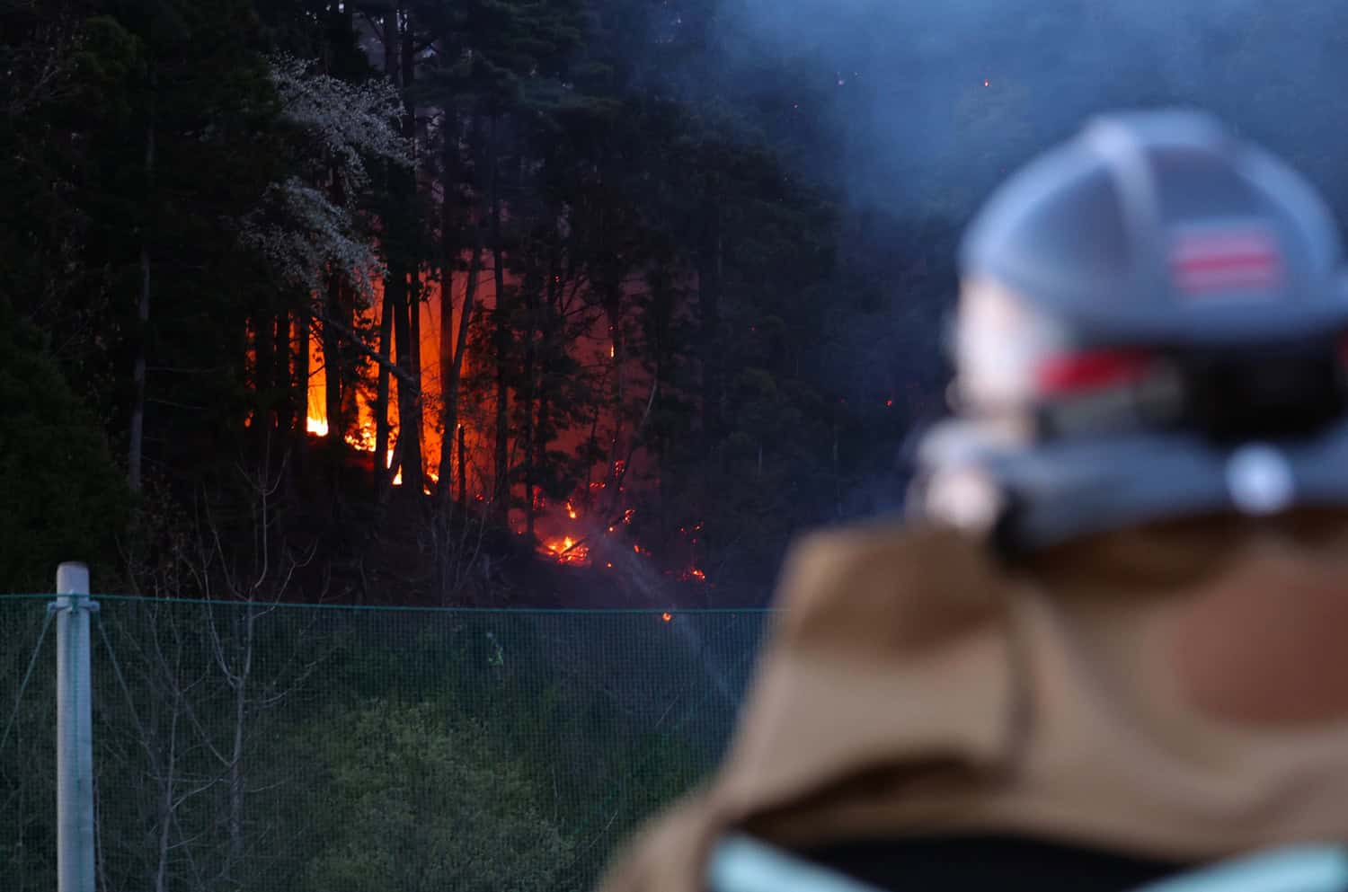 Japan contains one of its biggest wildfires after 11-day battle