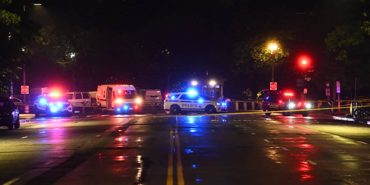 Gunman killed by US Secret Service after opening fire near White House