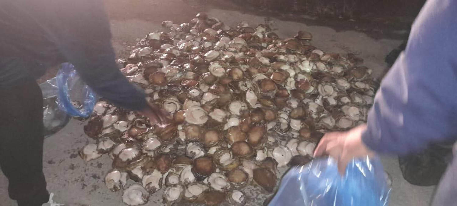 Police, army seize abalone worth R290 000 and cocaine