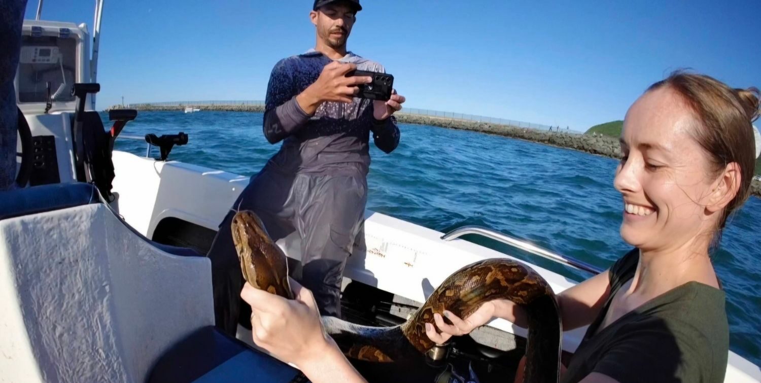 WATCH | Python saved 2.5km offshore during fishing competition