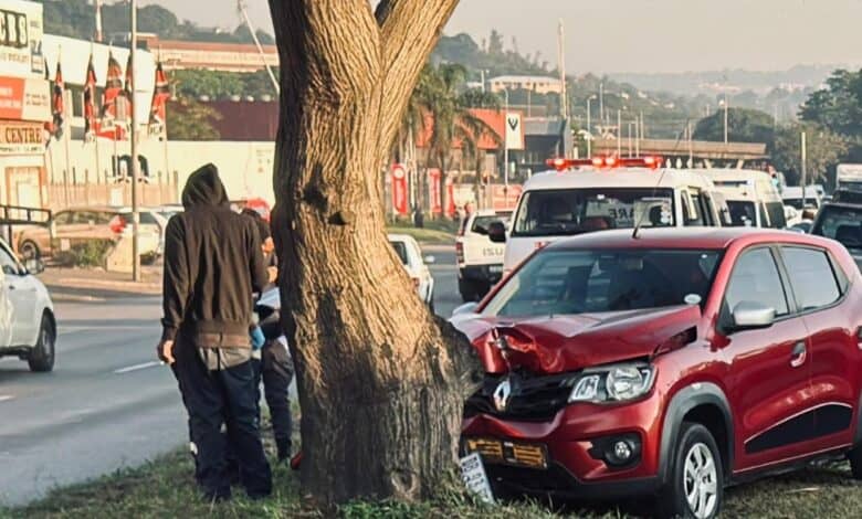 Man killed in crash after vehicle slams into tree | The Witness