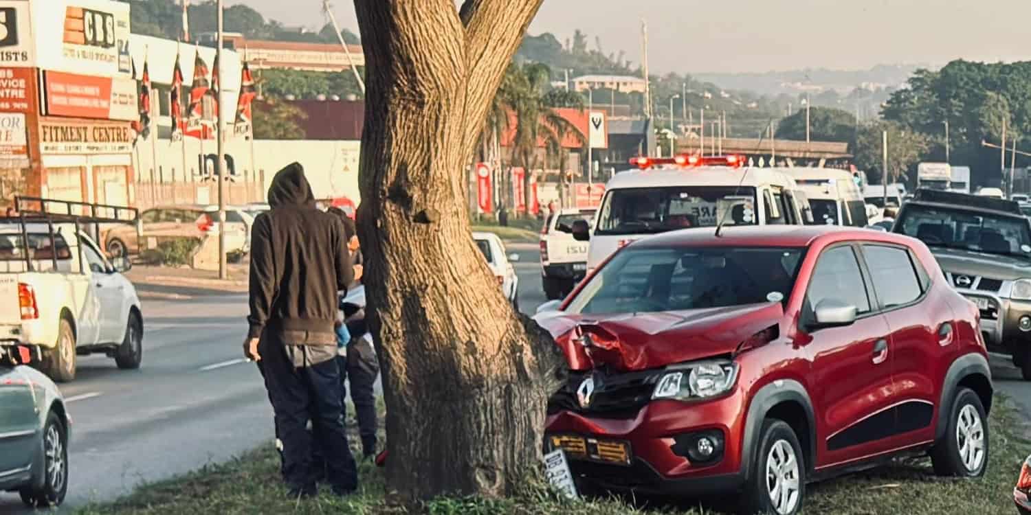 Man killed in crash after vehicle slams into tree