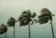 Windy weather. Photo: Pexels