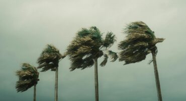 Windy weather. Photo: Pexels