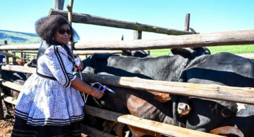MEC for Agriculture and Rural Development in KwaZulu-Natal, Thembeni kaMadlopha-Mthethwa. Photo: Department of Agriculture and Rural Development.