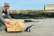 Benny the African Penguin released after months recouping at the South African Marina Biological Research centre (SAAMBR)