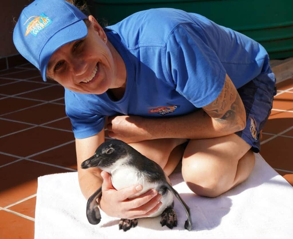 Benny with Kelly De Klerk lead Animal Care Specialist Mammals and Birds. Photo: SAAMBR