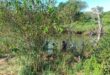 Search and Rescue at Crocodile River. Photo: SAPS