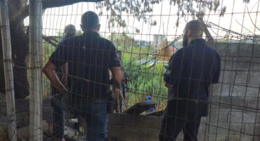 Private security members stand at the scene where a deceased man was found. Photo: Moeketsi Mamane
