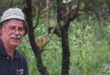 The University of KwaZulu-Natal's UKZN’s Professor Benny Bytebier who is pictured in the field in Zambia. Photo: Supplied