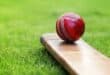 Cricket ball resting on a cricket bat on green grass of cricket pitch