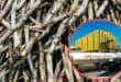 Sugar cane. InsertL Tongaat-Hullet. Photo: Pexels/Supplied