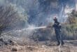 Firefighters battle to contain deadly Crete blaze in Greece