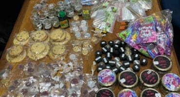 An assortment of cannabis products seized during a KZN police operation in Morningside, Durban. Photo: KZN SAPS