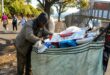 A homeless man in Pietermaritzburg searches through rubbish in the city centre in the hope of finding something to eat. The scene highlights the harsh realities of poverty and food insecurity faced by many vulnerable residents. Photo: Moeketsi Mamane