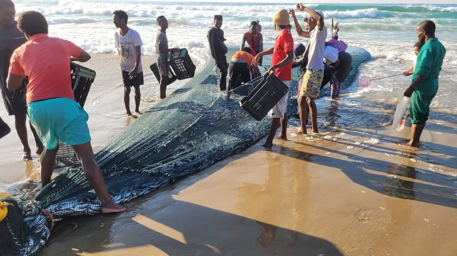 Sardine run arrives at Port Edward with bumper catch