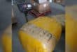 Strong dagga smell from portable toilet leads to R7.5m drug bust