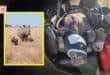 The baby rhino is airlifted to a rehabilitation facility after poachers killed and dehorned its mother on a private game reserve near Middelburg. Photo: Supplied/UBhetyan-o-Africa