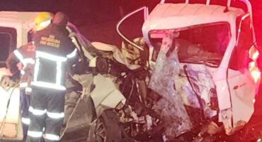Four killed in head-on collision on N2