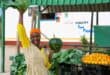 Zodwa Mwale, owner of a local tuck shop in Haniville, has reopened her business following the closure of several foreign-owned shops during recent actions by the March and March movement. Mwale said she is grateful to be trading again and looks forward to serving the local community.