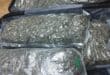 Police seized several transparent bags containing dagga with an estimated street value of R251,500. Photo: SAPS