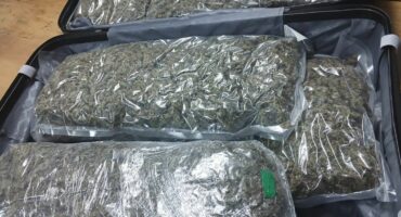Police seized several transparent bags containing dagga with an estimated street value of R251,500. Photo: SAPS